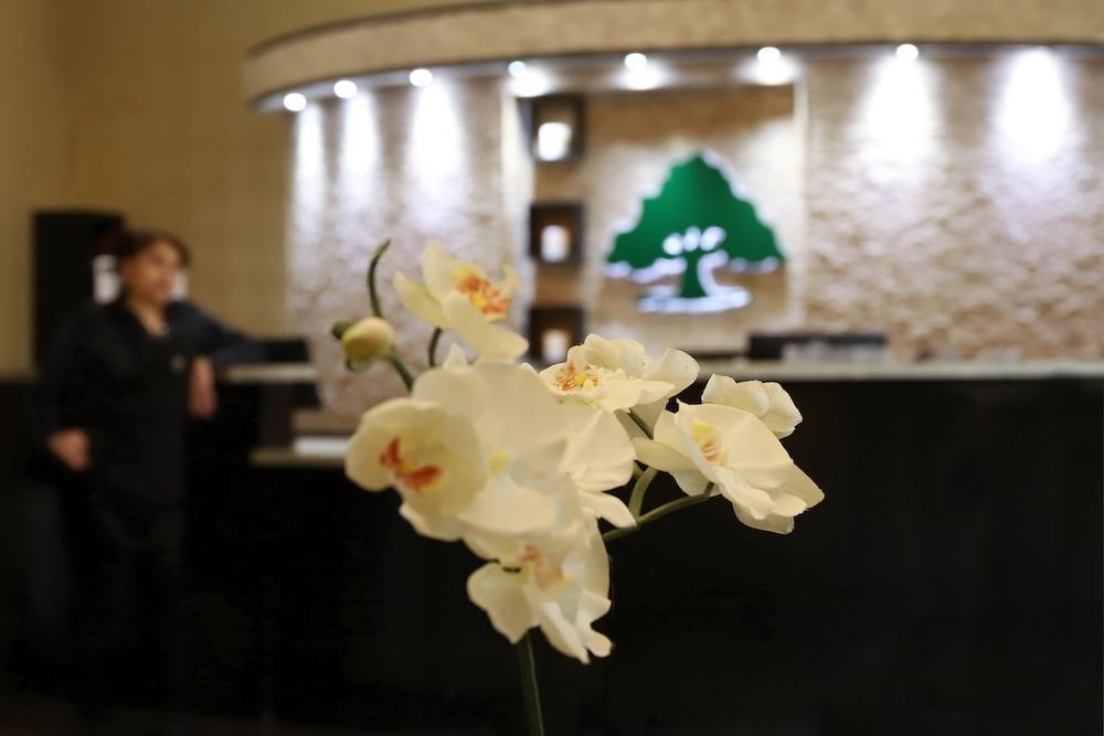 Red Roof Inn & Suites Лонгвю Екстериор снимка